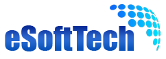 Website Design and Development Services